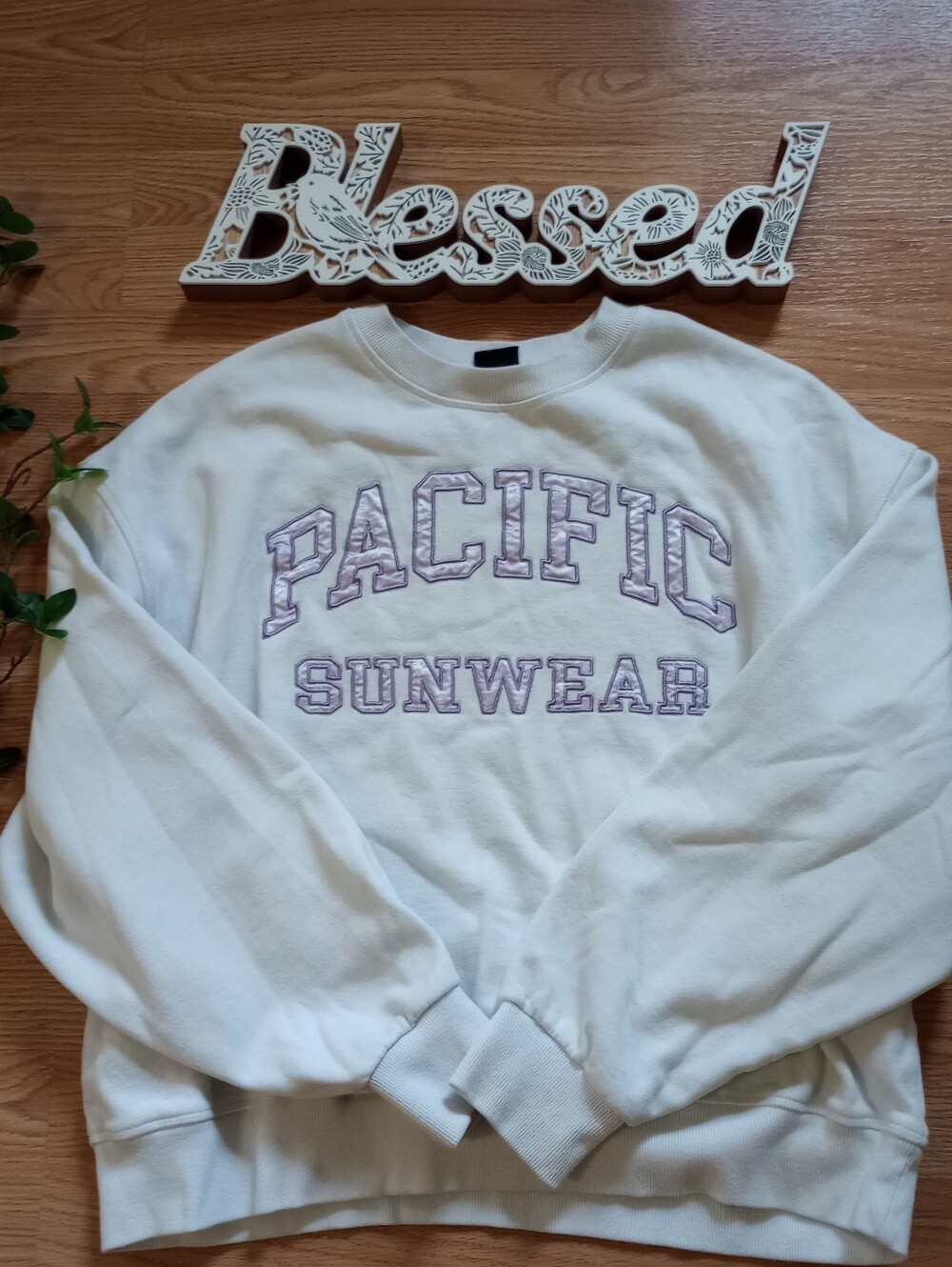 PacSun Pacific SunWear cropped crewneck Size Medium